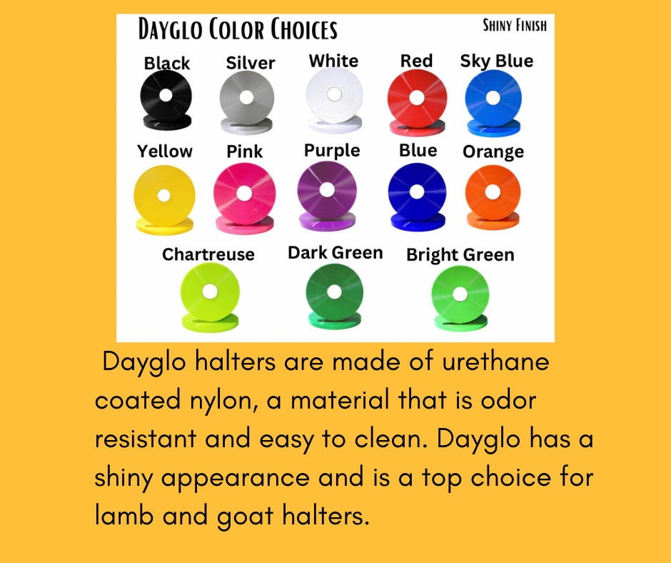DayGlo Halter- Silver Options Options